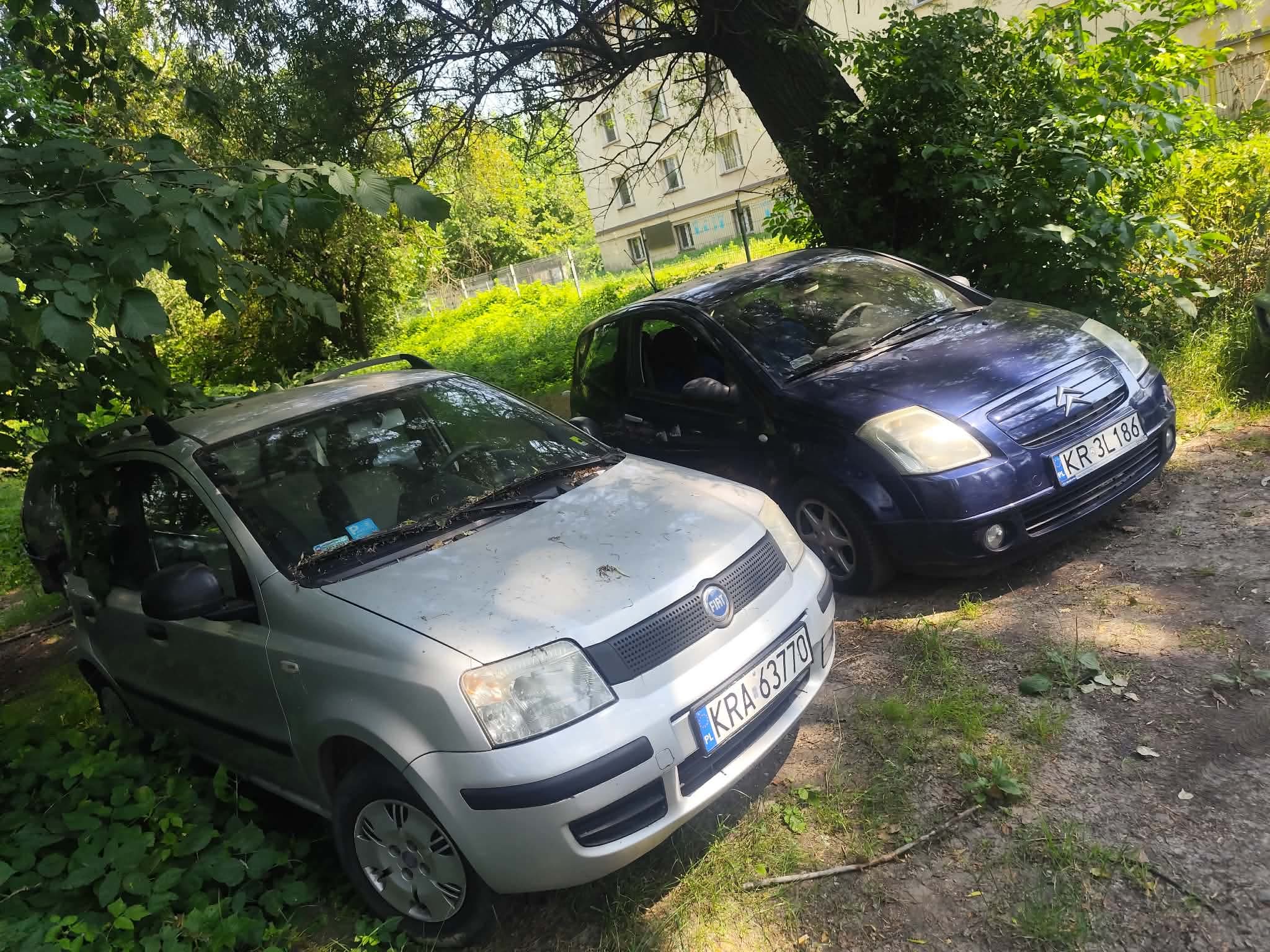 Fiat Panda i Citroën C2 — realizacja skupu