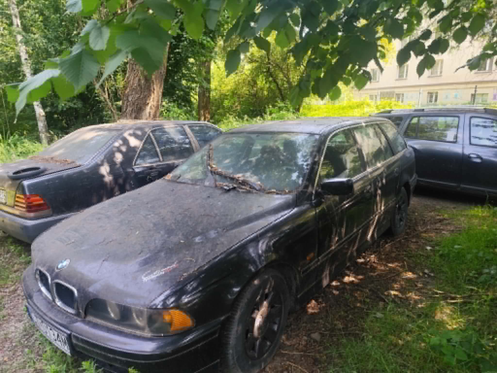 BMW serii 5 Touring E39 — realizacja skupu